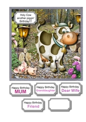 Holy Cow another piggin birthday