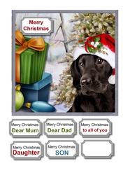 Christmas dog waiting for Santa