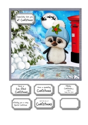 Cute Penguin