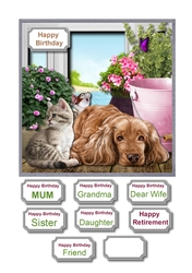 Furry friends