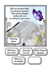 Sympathycard 3