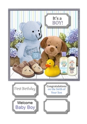 Baby Boy or first birthday