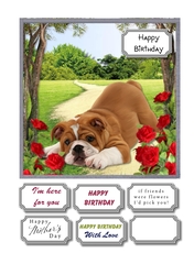 Bulldog with roses
