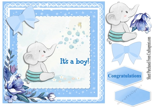 New Baby Boy