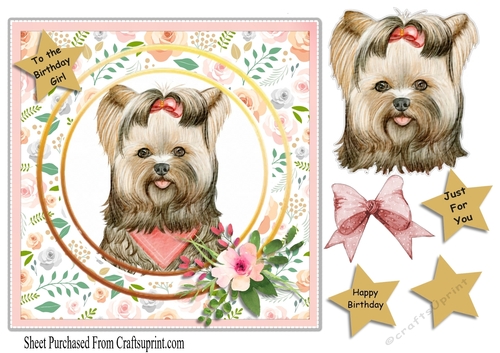 pretty in pink - dog card no2