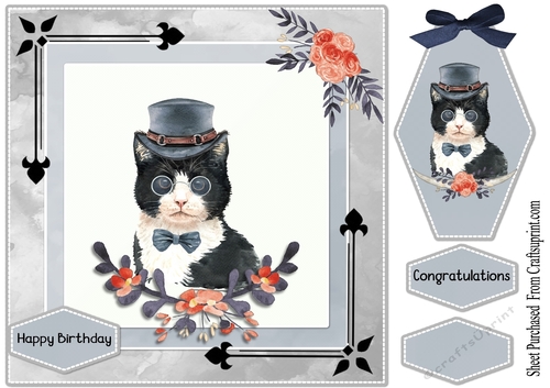 CAT CARD - HAPPY BIRTHDAY