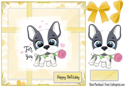 Cute French bulldog- happy birthday
