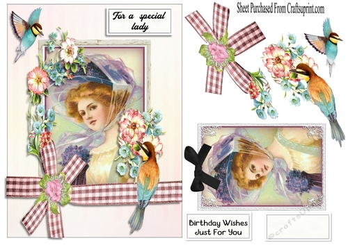 Vintage lady