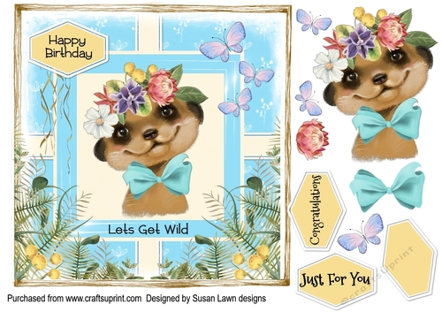 Birthday card - Meerkats go wild