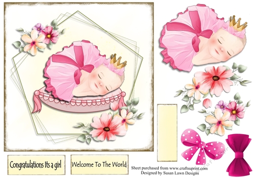 New baby girl no 10