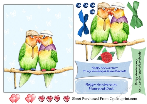 Love Birds Anniversary card