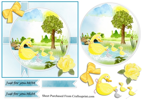 Cute duck card - pale blue background
