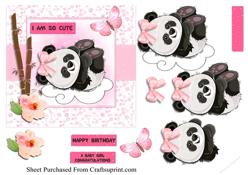 Cute panda - baby girl