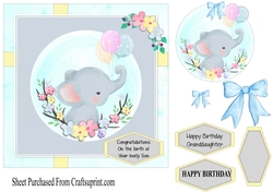 Cute Elephant