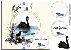 Black swan - just for you