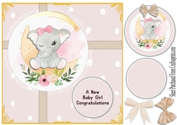 Elephant - new baby