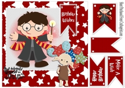 Harry Potter - make a wish