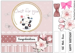 Panda - congratulations