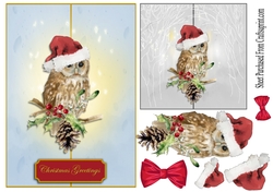 Christmas card - Owl