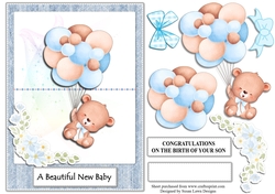 Bay boy - cute bear no 2