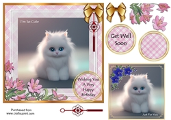 Cute kitten