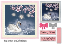 Swan - serenity