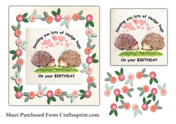 Hedge hugs for your birthday