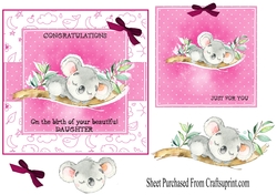 Congratulations -  baby girl