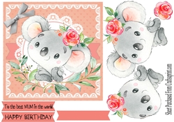 Cute Koala - Mothers day card