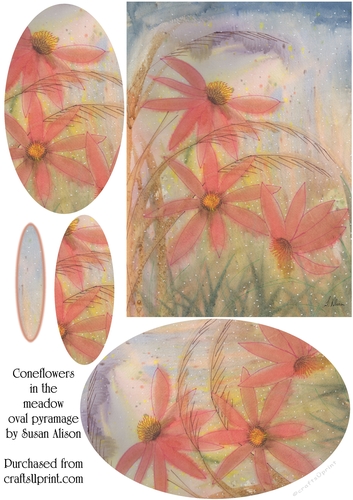 Cone flowers in the meadow oval pyramage topper