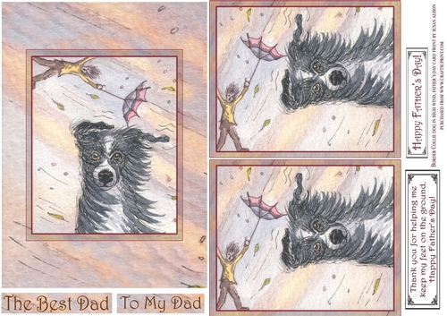 Border Collie Dog in high wind, Fathers Day card front