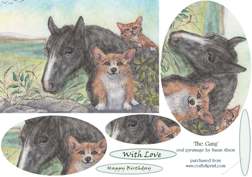 The Gang - horse, corgi dog, ginger cat - friends get together - oval pyramage