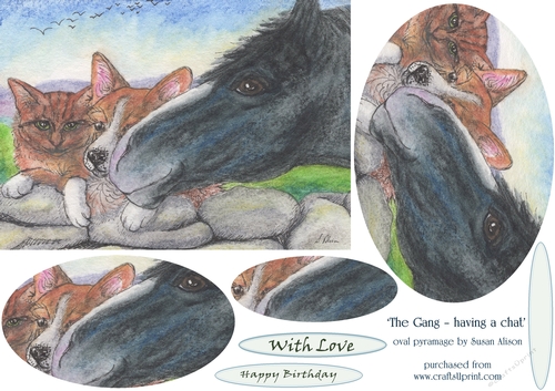The Gang - horse, corgi dog, ginger cat - having a chat - oval pyramage