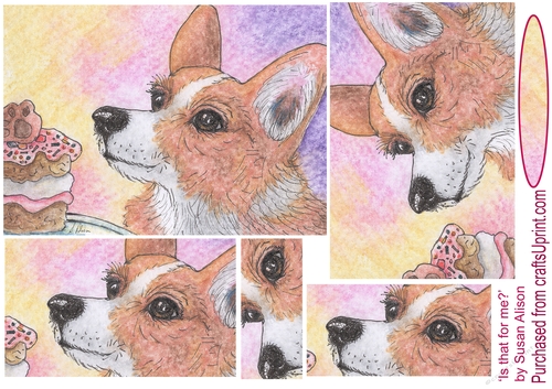Corgi dog cant believe the cake is for him Topper and Pyramid