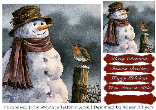 Robin and Snowman friends - quick card