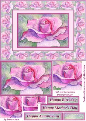 Single Pink Rose in Pink Rose Frame Pyramage