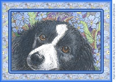 Forget Me Not Border Collie Dog in Floral Frame
