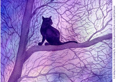 A4 Cat Sitting in a Tree Gazing at the Evening