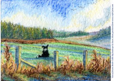 A4 View of Dreams Border Collie Dog in Landscape