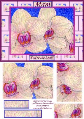 Moth Orchid Card Front for Mam