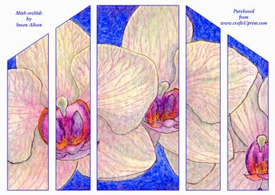 Moth Orchid Theatre Fold