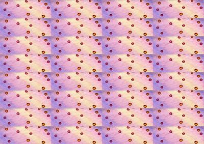 Swirling Dot Lights from Dancing Dogs Design Backing Paper