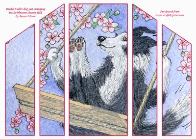 Border Collie Dog Just Swinging in the Blossom Theatre Card