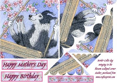 Collie Dog Swinging in the Blossom Scalloped Corner Stacker