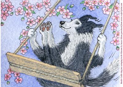 A4 Border Collie Dog Swinging in the Blossom