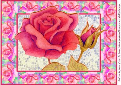 A4 Red Rose on Lace in Frame of Roses