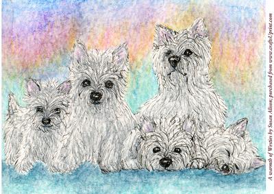 A4 a Warmth of Westies