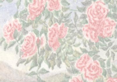 Roses Against the Sky Vellum