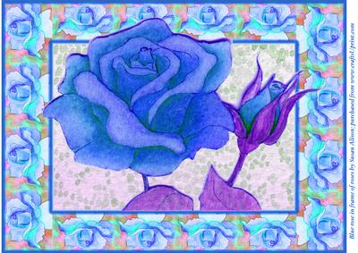 A4 Blue Rose on Lace in Frame of Roses