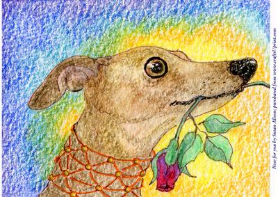 A4 Red Rose for You